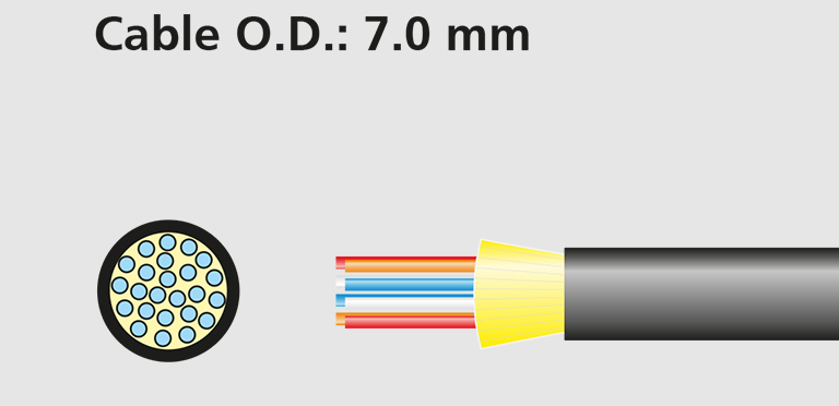 Standard24C