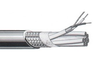 MS203