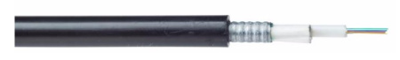 GOCB204