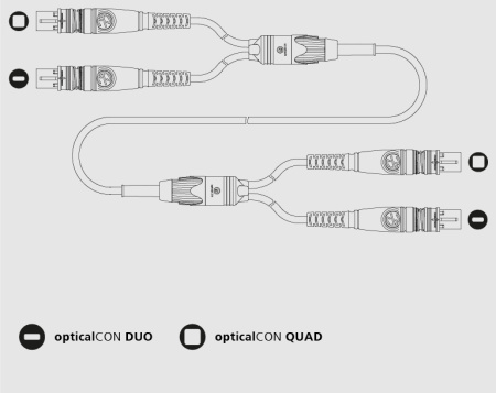 QD-QD