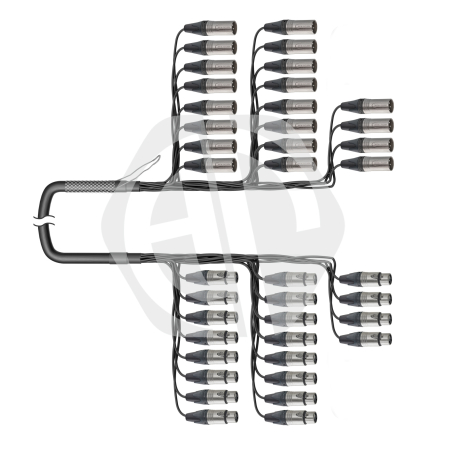 FTS20XX-00-70036-N